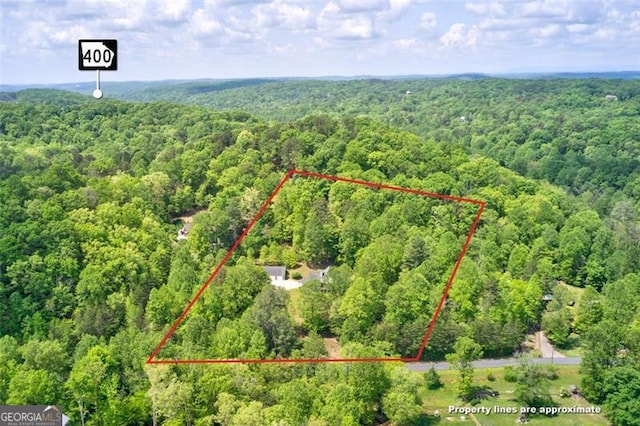 122 Gold View Dr, Dahlonega, GA 30533 - aerial overview of property's location featuring a forest and property parcel outlined