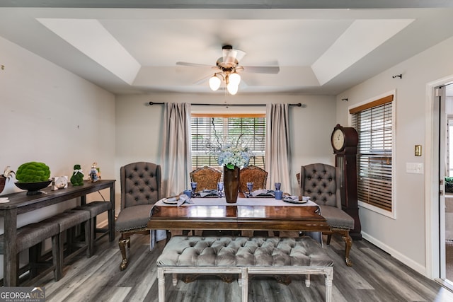 dining space featuring ceiling fan, a tray ceiling, wood finished floors, and a wealth of natural light