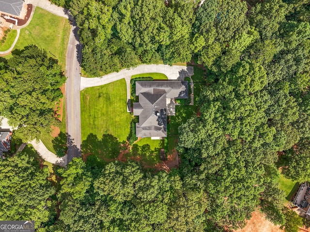 aerial view