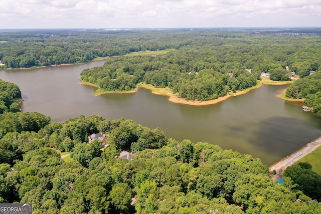 birds eye view of property featuring a water view and a forest view