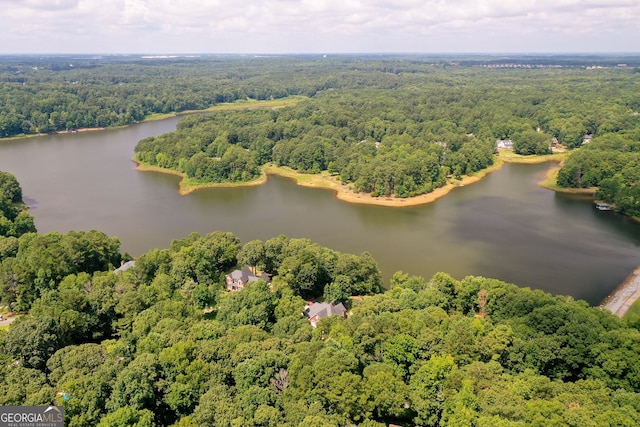 drone / aerial view featuring a water view and a view of trees