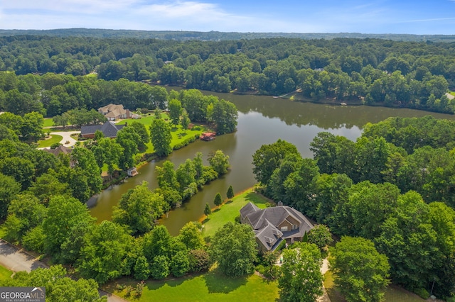 bird's eye view with a water view and a view of trees