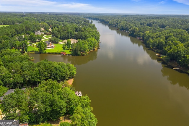 bird's eye view featuring a water view and a view of trees