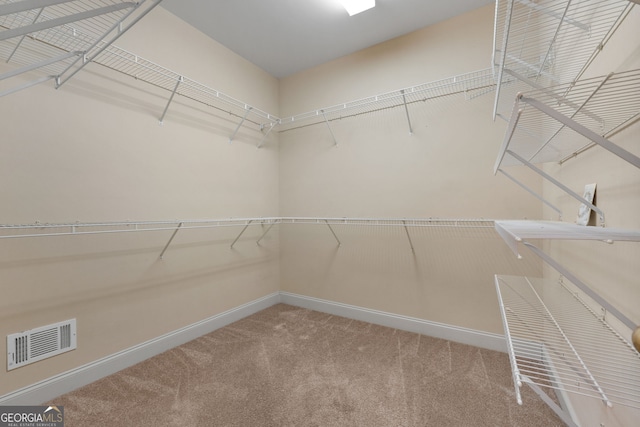 spacious closet with carpet flooring and visible vents