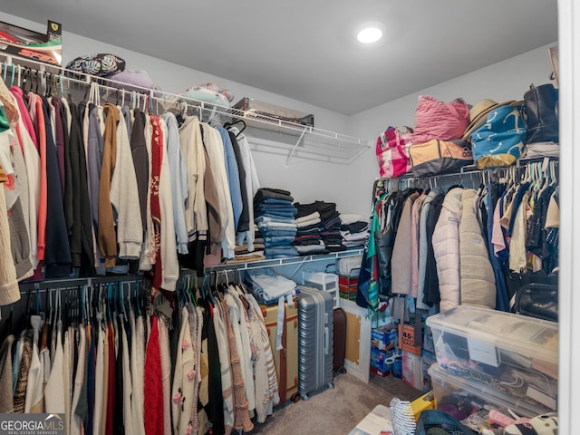 spacious closet featuring carpet floors