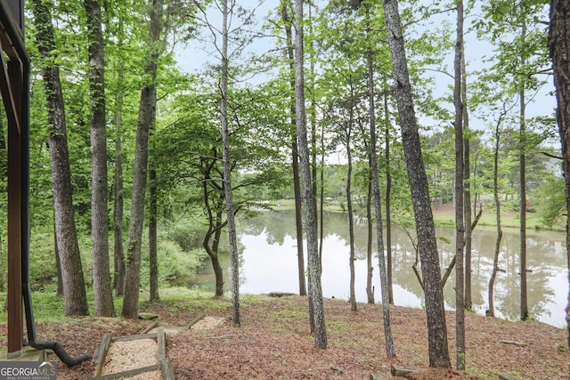 property view of water
