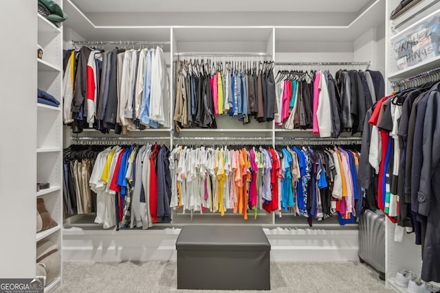 walk in closet with radiator and carpet