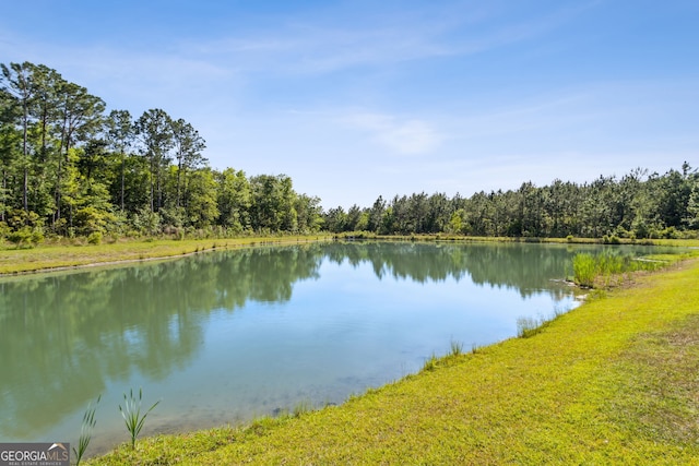 water view featuring a forest view