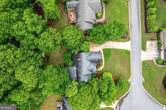 bird's eye view