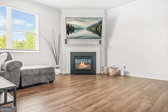 3135 Ellenton Dr, Lithia Springs, GA 30122 - living room with wood finished floors, crown molding, and a glass covered fireplace