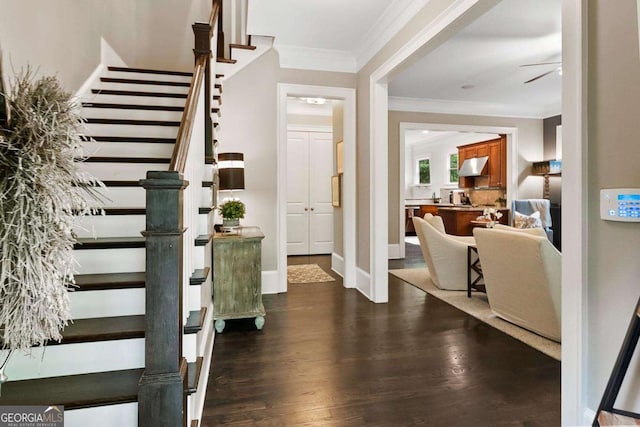 entryway featuring crown molding, a ceiling fan, wood finished floors, and stairway