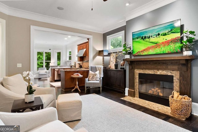 living area featuring crown molding, a fireplace with flush hearth, dark wood finished floors, and recessed lighting