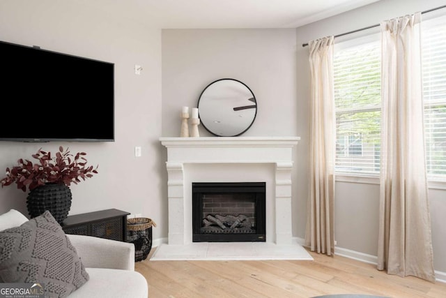 living room with baseboards, a fireplace with raised hearth, and wood finished floors