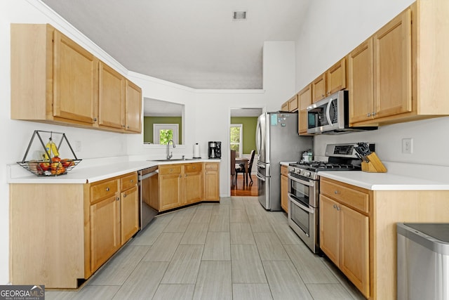 1395 Brisbane Dr, Dacula, GA 30019 - kitchen featuring stainless steel appliances, a sink, and light countertops