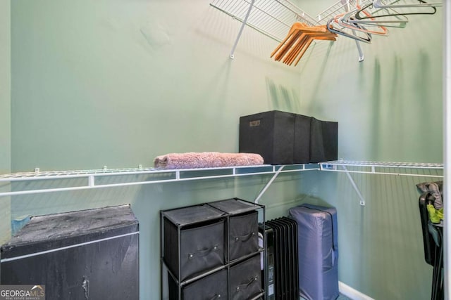 view of walk in closet