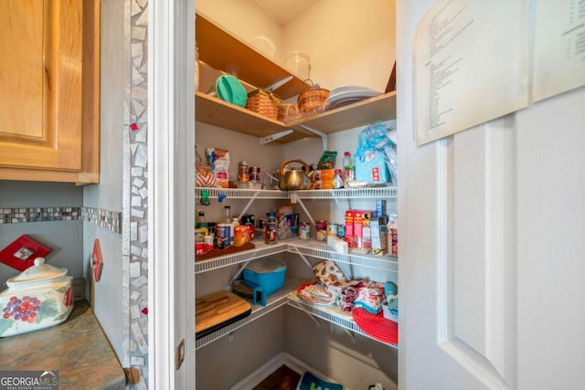 687 Anderson Ln, Ranger, GA 30734 - view of pantry