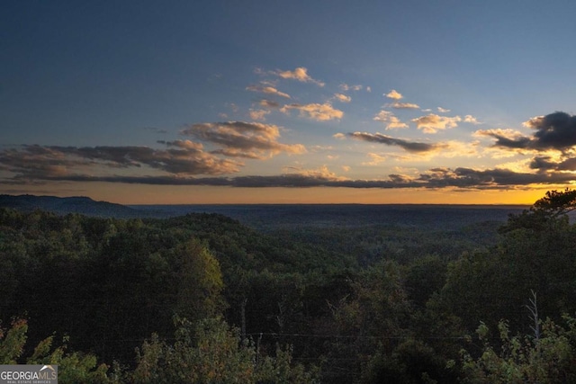 water view with a wooded view