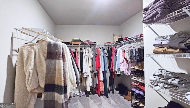 walk in closet with carpet flooring