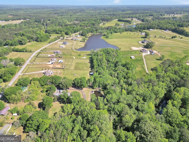 701 Mask Rd, Brooks, GA 30205 - drone / aerial view featuring a water view and a view of trees
