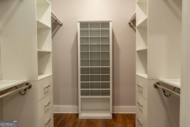 walk in closet with dark wood finished floors