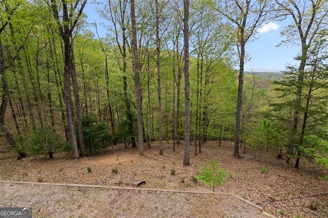 675 Green Ridge Rd, Blue Ridge, GA 30513 - view of local wilderness featuring a wooded view