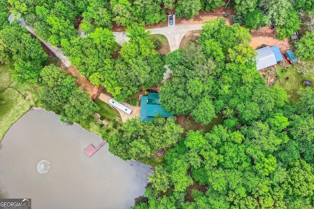 5419 Tyree Rd, Winston, GA 30187 - birds eye view of property