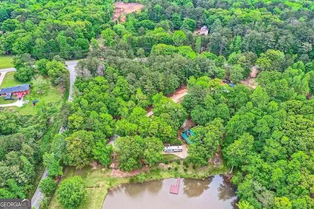 5419 Tyree Rd, Winston, GA 30187 - aerial view with a water view and a view of trees