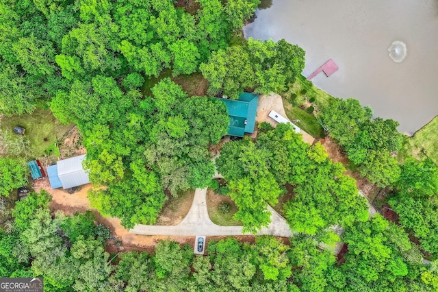 5419 Tyree Rd, Winston, GA 30187 - bird's eye view