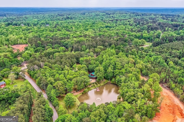 5419 Tyree Rd, Winston, GA 30187 - bird's eye view with a water view and a wooded view