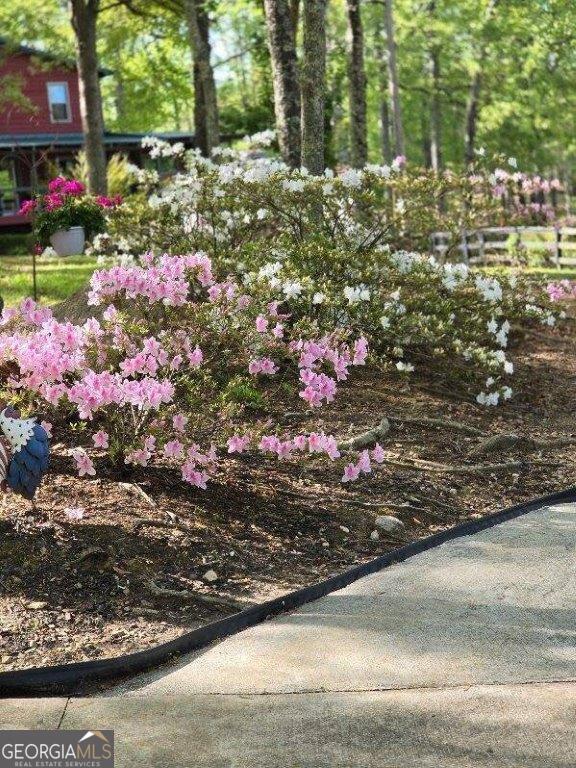 5419 Tyree Rd, Winston, GA 30187 - view of yard