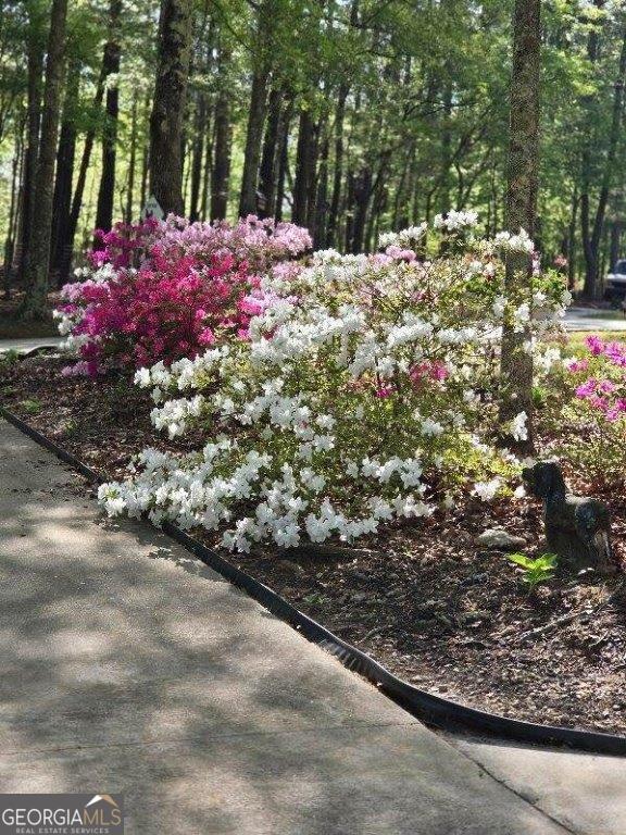 5419 Tyree Rd, Winston, GA 30187 - view of yard