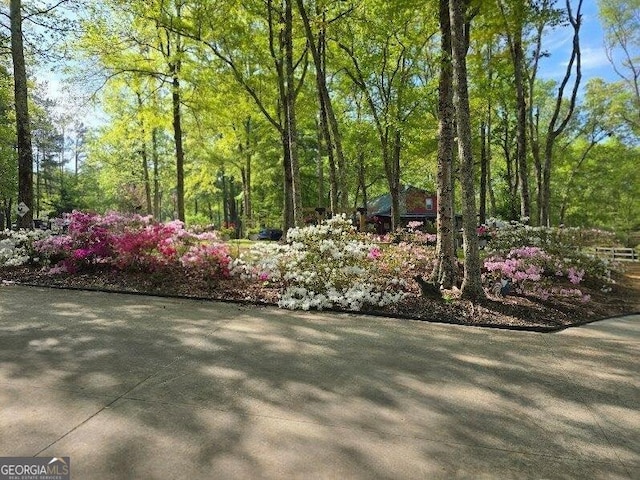 5419 Tyree Rd, Winston, GA 30187 - view of yard