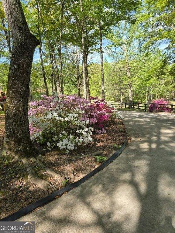 5419 Tyree Rd, Winston, GA 30187 - view of property's community