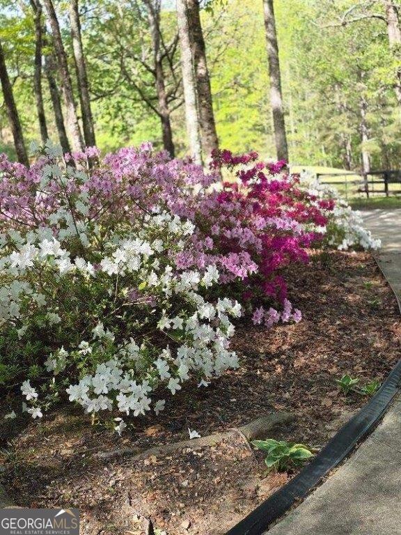 5419 Tyree Rd, Winston, GA 30187 - view of yard with fence