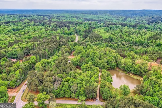 5419 Tyree Rd, Winston, GA 30187 - drone / aerial view with a water view and a view of trees