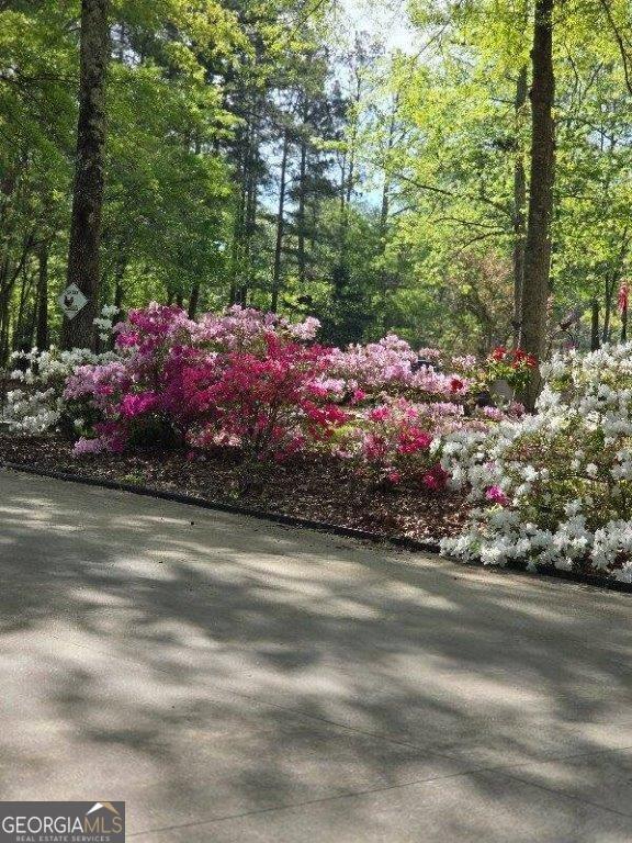 5419 Tyree Rd, Winston, GA 30187 - view of yard