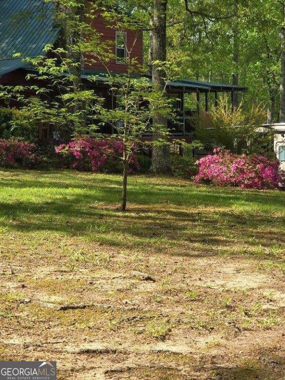 5419 Tyree Rd, Winston, GA 30187 - view of yard