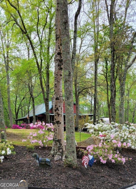 5419 Tyree Rd, Winston, GA 30187 - view of yard