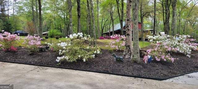 5419 Tyree Rd, Winston, GA 30187 - view of community with a view of trees