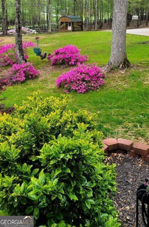 5419 Tyree Rd, Winston, GA 30187 - view of yard