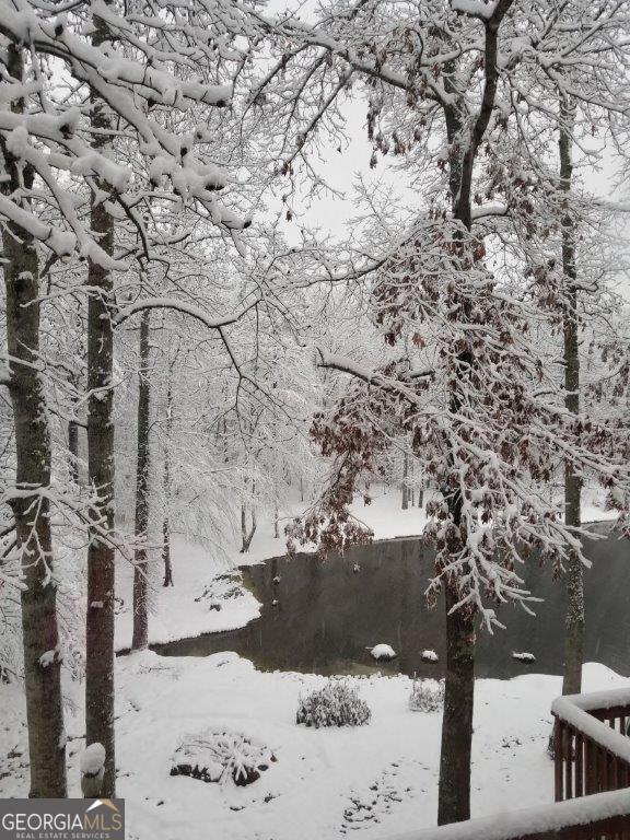 5419 Tyree Rd, Winston, GA 30187 - view of snowy yard