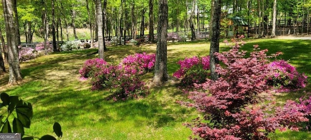 5419 Tyree Rd, Winston, GA 30187 - view of yard featuring fence