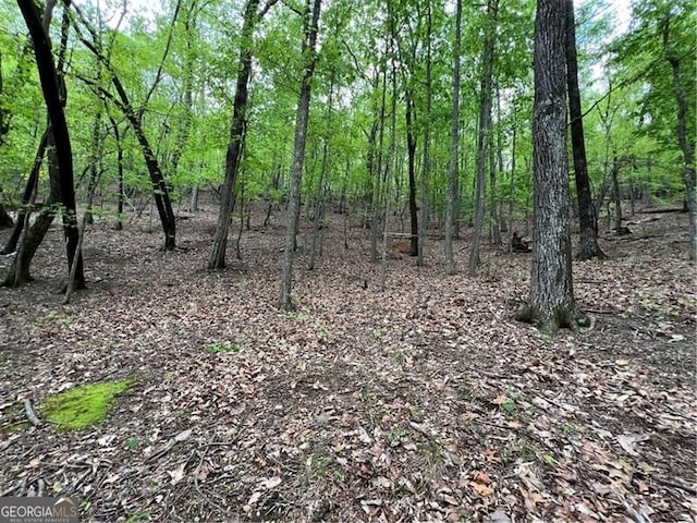 387 Windflower Dr, Big Canoe, GA 30143