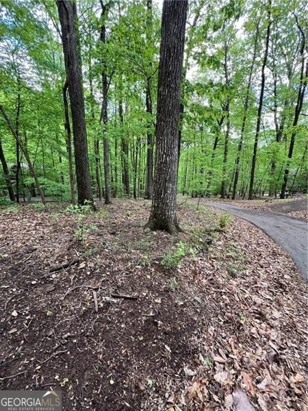 387 Windflower Dr, Big Canoe, GA 30143