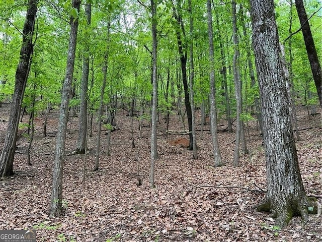 387 Windflower Dr, Big Canoe, GA 30143
