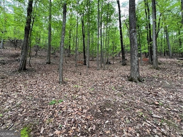 387 Windflower Dr, Big Canoe, GA 30143