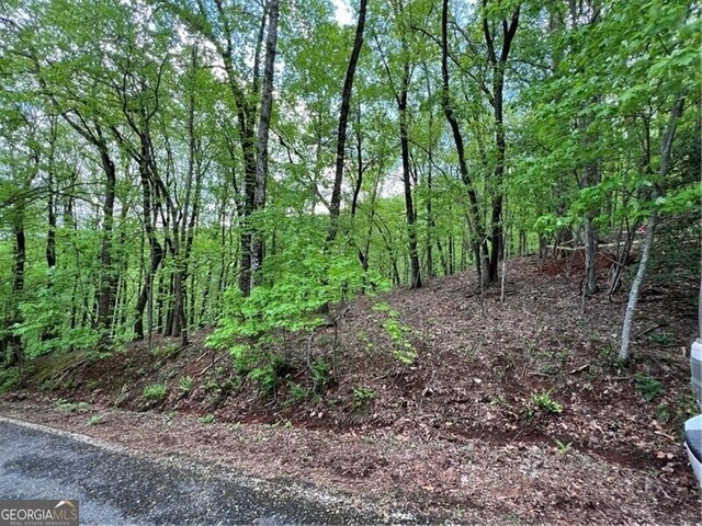 0 Valley View Dr, Jasper, GA 30143