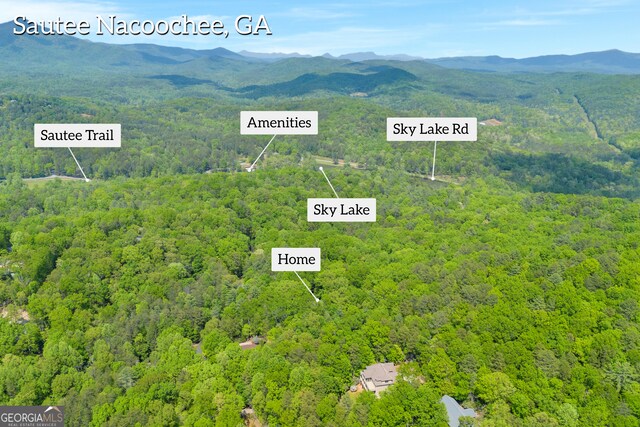 birds eye view of property featuring a view of trees and a mountain view