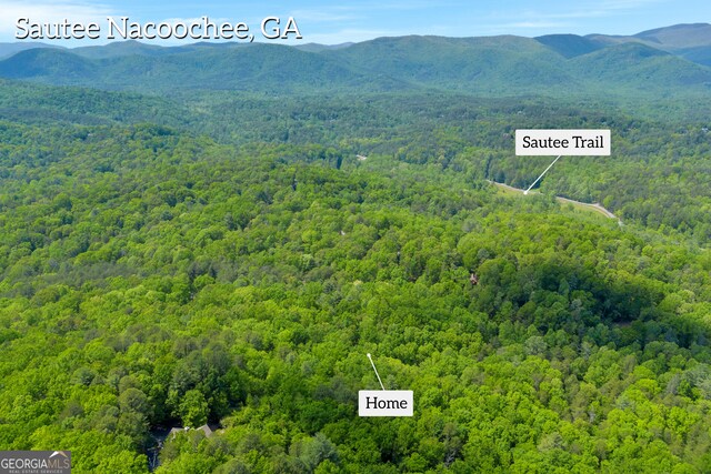 birds eye view of property featuring a view of trees and a mountain view