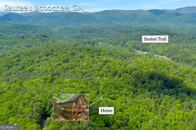 drone / aerial view with a view of trees and a mountain view